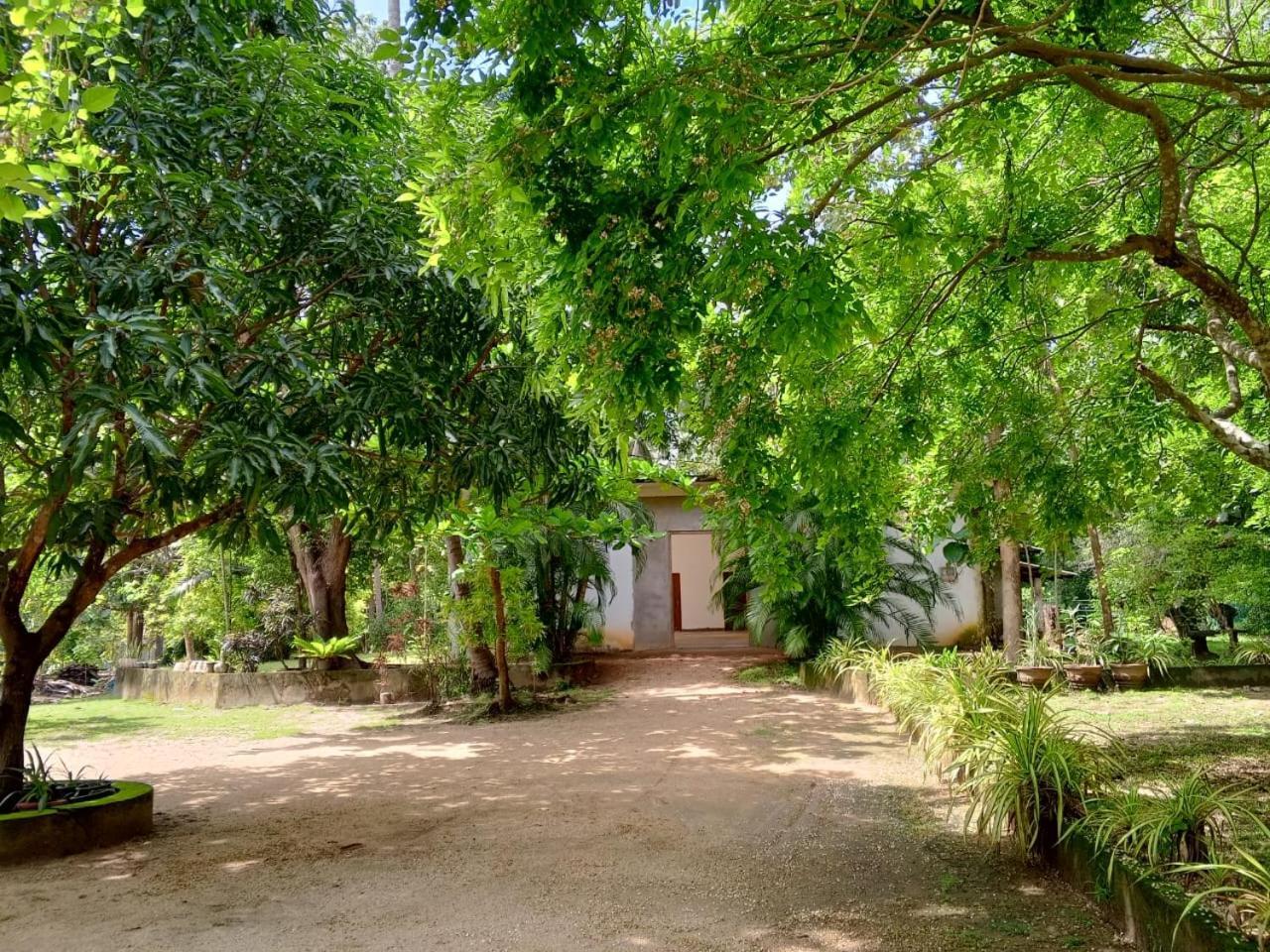 Deer Garden Guest Hotel Polonnaruwa Bagian luar foto